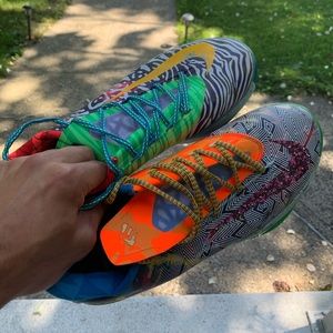 What The Kd 6s Mens